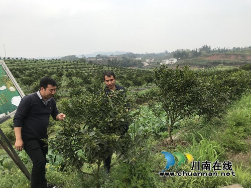 宜宾长兴镇：开阔眼界学经验&nbsp;凝心聚力助发展(图4)