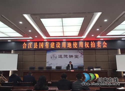 552万元/亩&nbsp;合江国有建设用地使用权拍卖创新高(图1)