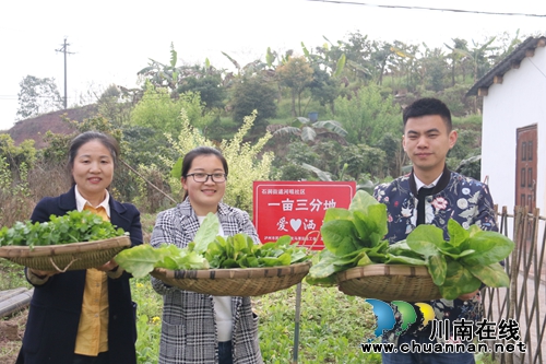龙马潭：“爱心小菜园”&nbsp;发挥大作用(图2)