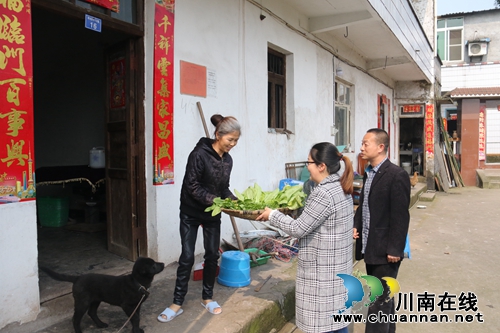 龙马潭：“爱心小菜园”&nbsp;发挥大作用(图3)