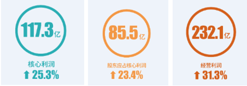 规模与利润并重世茂2018年实现有品质高速增长(图4)