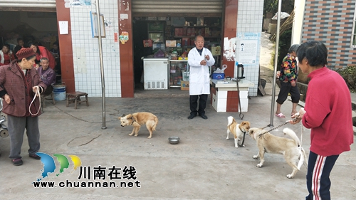 泸县潮河镇完成2019年狂犬病防疫注射工作(图1)