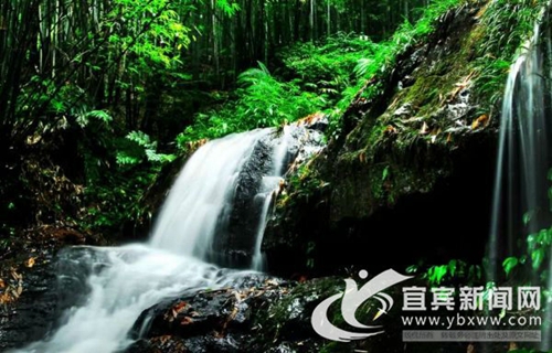 宜宾:最霸道全竹宴 50个免费嗨吃名额邀你来(图2) 宜宾:最霸道全竹宴 50个免费嗨吃名额邀你来(图2)