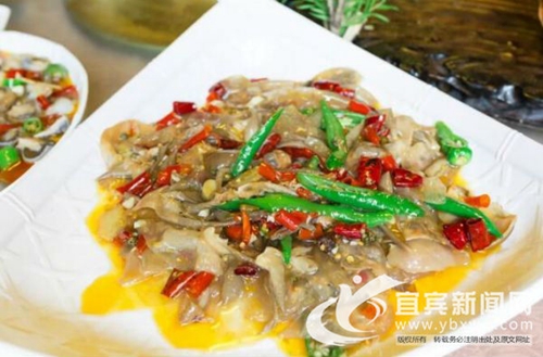 宜宾:最霸道全竹宴 50个免费嗨吃名额邀你来(图4) 宜宾:最霸道全竹宴 50个免费嗨吃名额邀你来(图4)