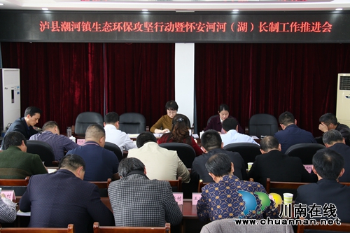 县委常委、宣传部长陈佳到潮河镇督导生态环保攻坚暨怀安河河（湖）长制工作(图1)