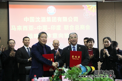 春糖会酒博会&nbsp;沈酒“赴宴”打出梦幻组合拳(图19)