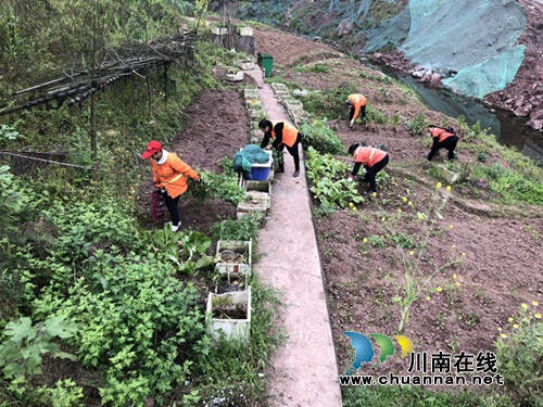 龙马潭区红星街道打响“龙涧溪”治理攻坚战(图1) 龙马潭区红星街道打响“龙涧溪”治理攻坚战(图1)