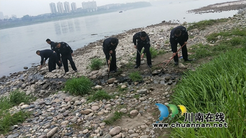 江阳区张坝街道全力做好水污染防治迎检工作(图1)