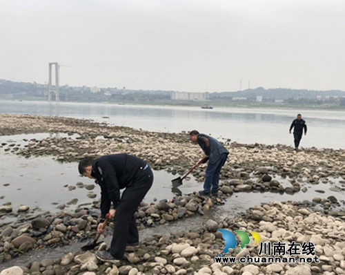 江阳区张坝街道全力做好水污染防治迎检工作(图2)