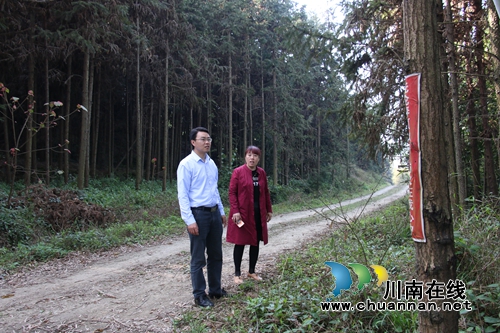 泸县潮河镇组织开展森林防火安全巡查工作(图1)