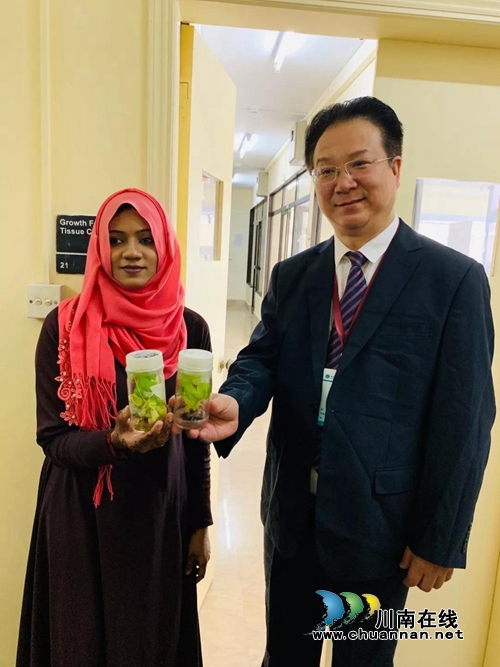 西南医大中医院将在巴基斯坦建中医医院(图7)