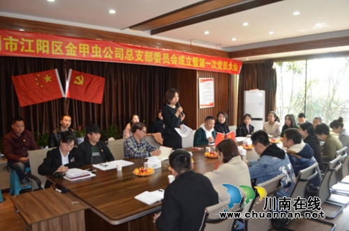 江阳区北城街道党建工作更上一层楼：金甲虫党支部升格为党总支(图1)