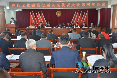 泸县太伏镇召开第七届人民代表大会第四次会议(图1)