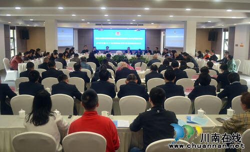 泸州召开落实减税降费税收管理服务座谈会(图2)