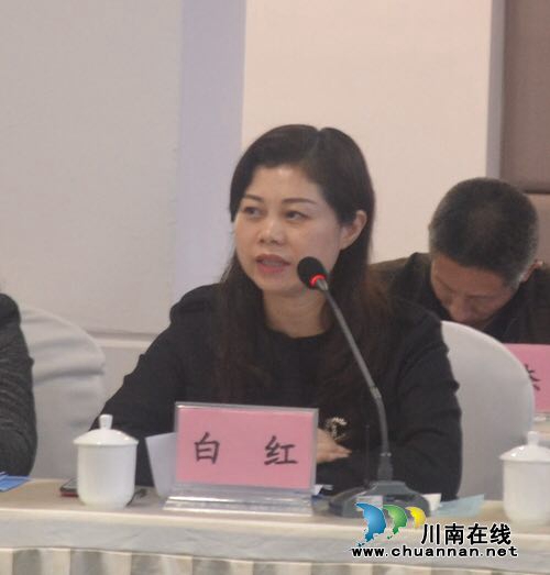 泸州召开落实减税降费税收管理服务座谈会(图6)