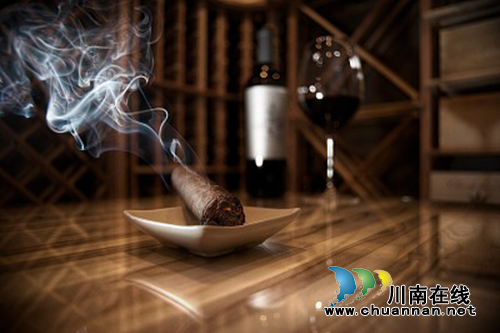 一场了不起的聚会|名门贵族的璀璨盛宴(图4)