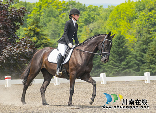 一场了不起的聚会|名门贵族的璀璨盛宴(图5)