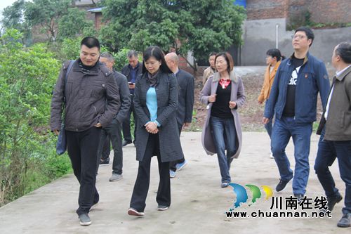 市农业农村局市财政局到泸县云龙镇验收龙眼高接换种项目(图1)