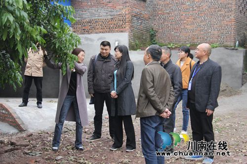 市农业农村局市财政局到泸县云龙镇验收龙眼高接换种项目(图2)