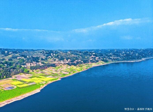 水美合江！合江人身边的“马尔代夫”(图2)