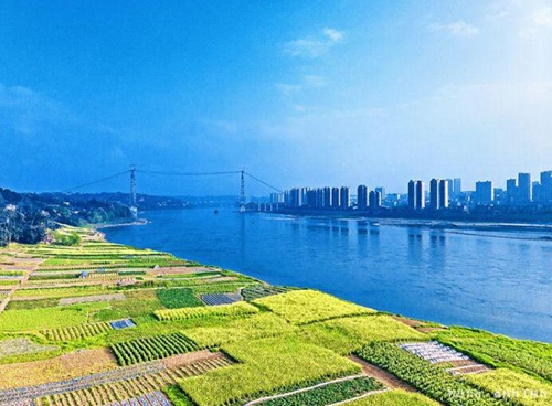 水美合江！合江人身边的“马尔代夫”(图3)