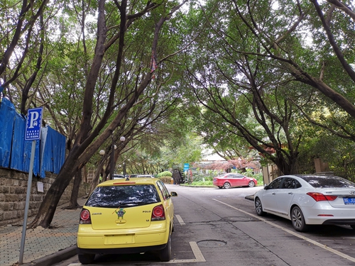 外来车辆进小区&nbsp;是否收费谁说了算？(图7)