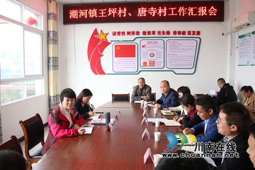 陈佳到泸县潮河镇调研脱贫攻坚工作(图1)