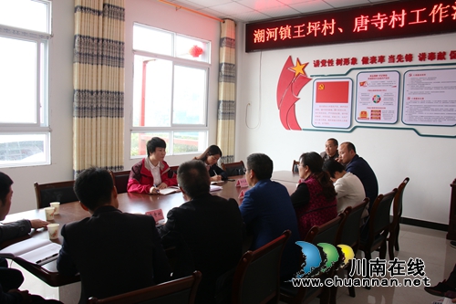 陈佳到泸县潮河镇调研脱贫攻坚工作(图2)