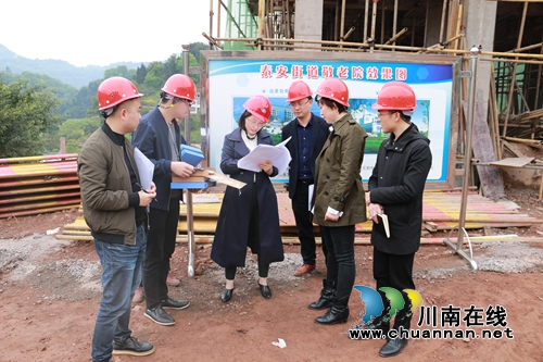 泸州高新区党工委委员、组织部长徐珊率队开展清明节前安全生产大检查(图1)