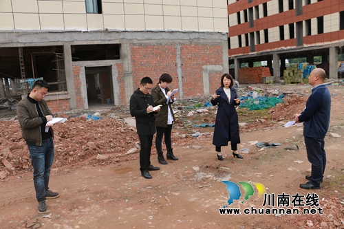 泸州高新区党工委委员、组织部长徐珊率队开展清明节前安全生产大检查(图4)