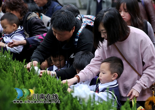 江阳区各界开展清明祭英烈主题活动(图5)