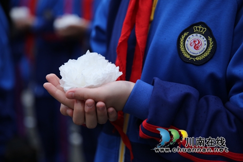 江阳区各界开展清明祭英烈主题活动(图9)