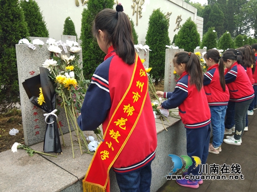 纳溪区棉花坡：清明祭祀，缅怀英烈(图1)