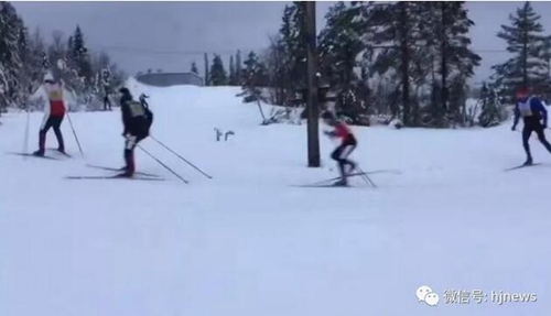 合江18岁小女将在全国第二届青年运动会出彩(图2) 合江18岁小女将在全国第二届青年运动会出彩(图2)