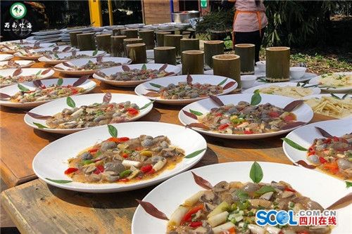 蜀南竹海第十七届春笋节开幕&nbsp;百人同吃竹笋宴(图3)