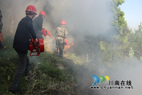 罗汉街道：开展森林防火技能培训和应急演练活动&nbsp;&nbsp;筑牢绿色“防火墙”(图4)