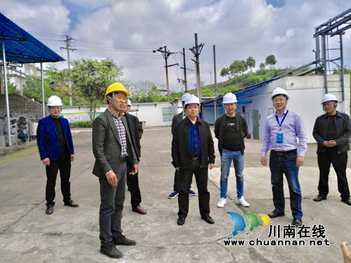 泸县人大常委会副主任苟明强率队到百和镇调研环保工作(图1)