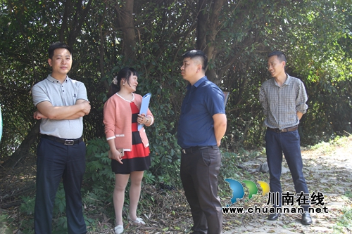 泸县副县长林少疆到云龙镇督导环保暨森林防火工作(图4)