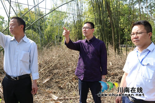 泸县政协副主席朱兵到百和镇开展《水污染防治法》执法检查(图2)