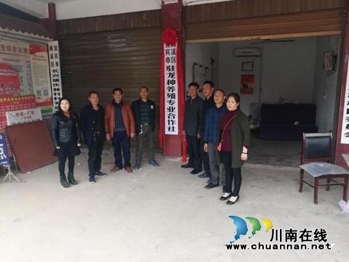 宜宾市南溪区驻龙种养殖专业合作社正式挂牌成立(图1) 宜宾市南溪区驻龙种养殖专业合作社正式挂牌成立(图1)