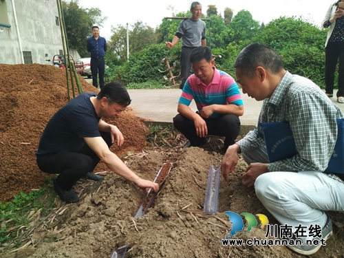 杜作文到泸县云龙镇督导脱贫攻坚暨当前重点工作(图1)