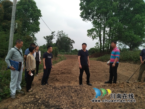 杜作文到泸县云龙镇督导脱贫攻坚暨当前重点工作(图4)