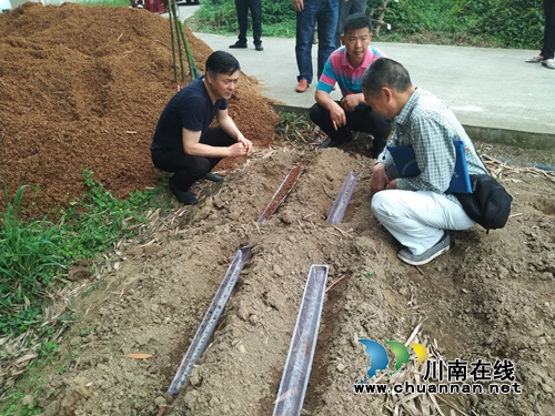 杜作文到泸县云龙镇督导脱贫攻坚暨当前重点工作(图3)