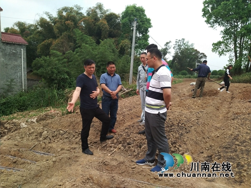 杜作文到泸县云龙镇督导脱贫攻坚暨当前重点工作(图5)