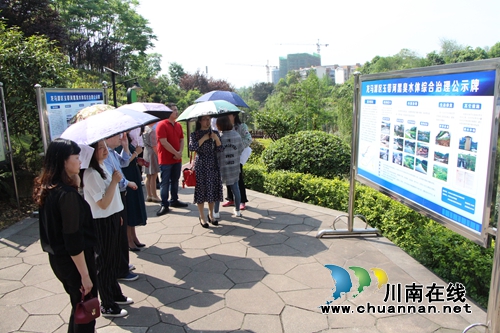 龙马潭区红星街道组织辖区“两代表一委员”开展《水污染防治法》执法检查和视察调研活动(图1)