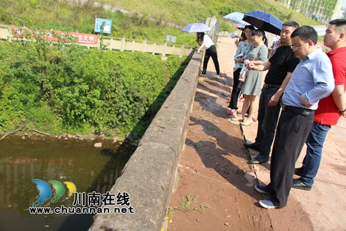 龙马潭区红星街道组织辖区“两代表一委员”开展《水污染防治法》执法检查和视察调研活动(图2)