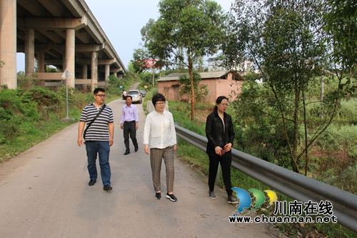 陈佳到泸县潮河镇督导生态环保及森林防火工作并开展河长制巡查(图1)