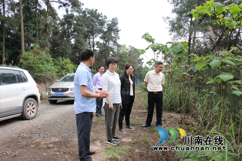 陈佳到泸县潮河镇督导生态环保及森林防火工作并开展河长制巡查(图3)