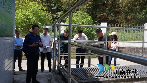 泸县人大到立石镇调研水污染防治工作(图1)