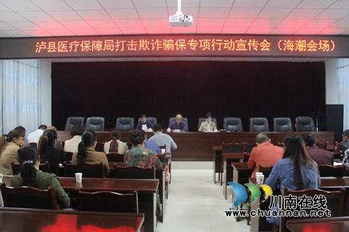 泸县医疗保障局到海潮镇开展打击欺诈骗保专项行动宣传会(图1)